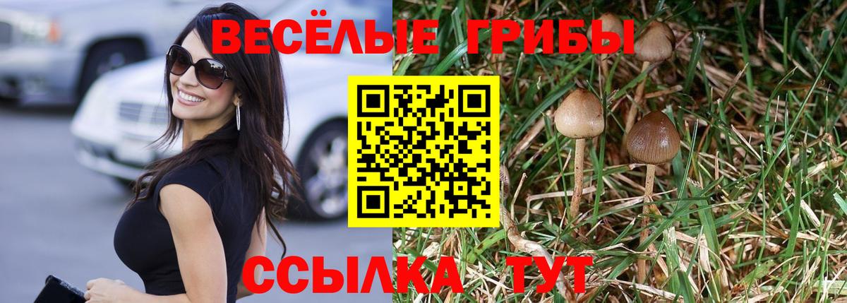 Рязань  Галлюциногенные грибы мицелий  Вход с VPN 